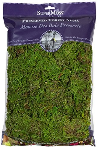 SuperMoss (25322) Forest Moss Preserved, Fresh Green, 8oz - Image 5