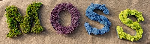 SuperMoss (25322) Forest Moss Preserved, Fresh Green, 8oz - Image 3