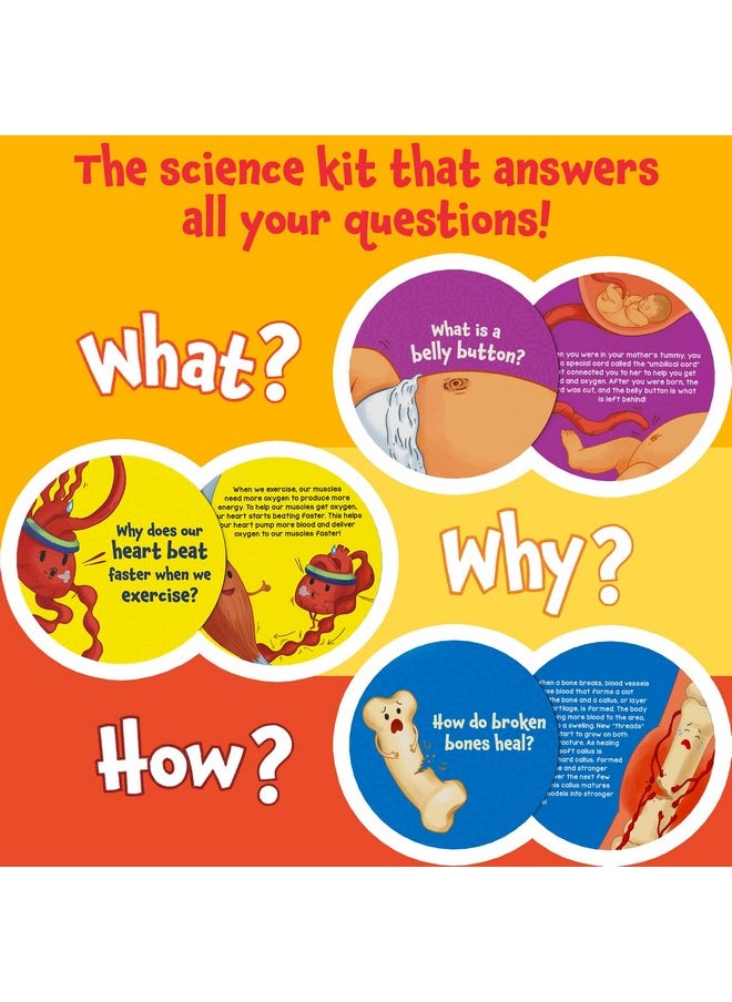 Flash Cards - Science Snippets The Human Body, Learning Resources & Educational Toys For Boys & Girls, Gifts For Ages 7, 8, 9 & Up, 70+ Cards - pzsku/Z40E42AEB5E0702F1B498Z/45/_/1733730256/3a8a008b-494b-437b-ab0c-709c5367ff52