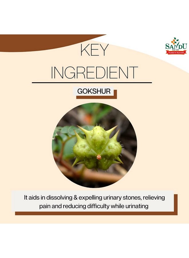 Sandu Gokshur Kadha (Sandu Gokharu Kadha) | Ayurvedic Medicine for Urinary Problems (200 ml) - Image 3