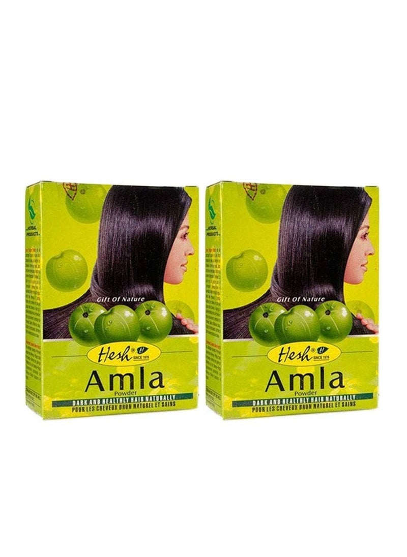 Hesh - Hesh Pharma Amla Hair Powder 3.5oz., 100g (Pack of 2) - Image 1