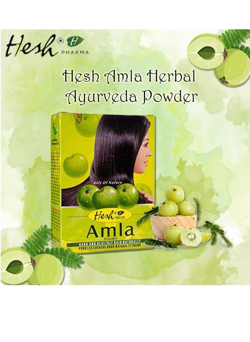 Hesh - Hesh Pharma Amla Hair Powder 3.5oz., 100g (Pack of 2) - Image 1