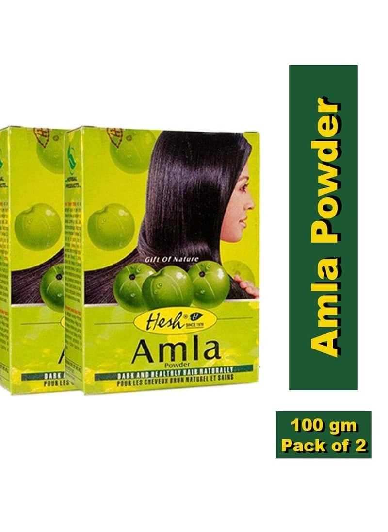 Hesh - Hesh Pharma Amla Hair Powder 3.5oz., 100g (Pack of 2) - Image 1