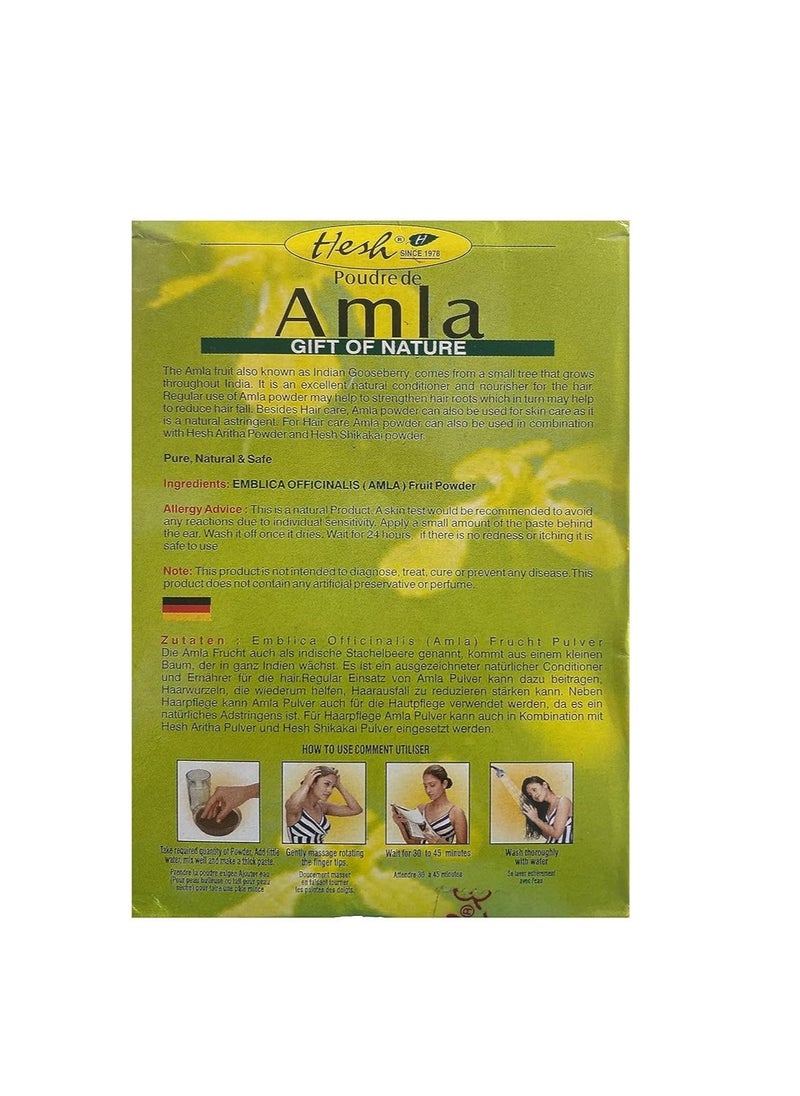 Hesh - Hesh Pharma Amla Hair Powder 3.5oz., 100g (Pack of 2) - Image 1