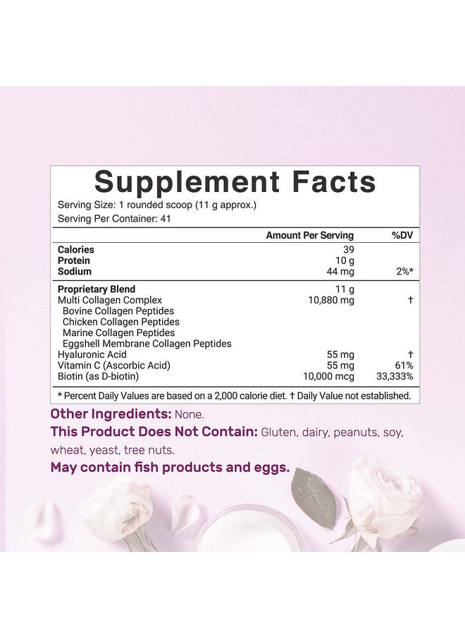 DEAL SUPPLEMENT مسحوق بروتين الكولاجين المتعدد 1 رطل من النوع الأول والثاني والثالث والخامس مع البيوتين وفيتامين سي وحمض الهيالورونيك بدون نكهة ومناسب لنظام الكيتو والباليو ومثالي للشعر والبشرة والأظافر والمفاصل  - Image 3