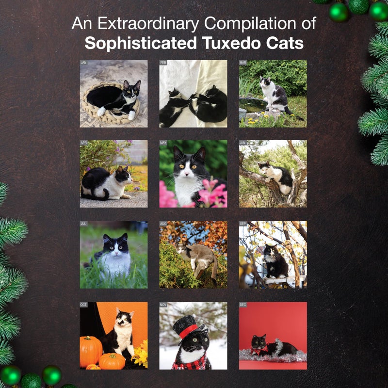 MICASA PRESS Tuxedo Cats 2026 Wall Calendar 12 Month | 12" x 24" Open | Thick & Sturdy Paper | Holiday Gift | Cute Kitten Cat Calendar 2026 - Image 3
