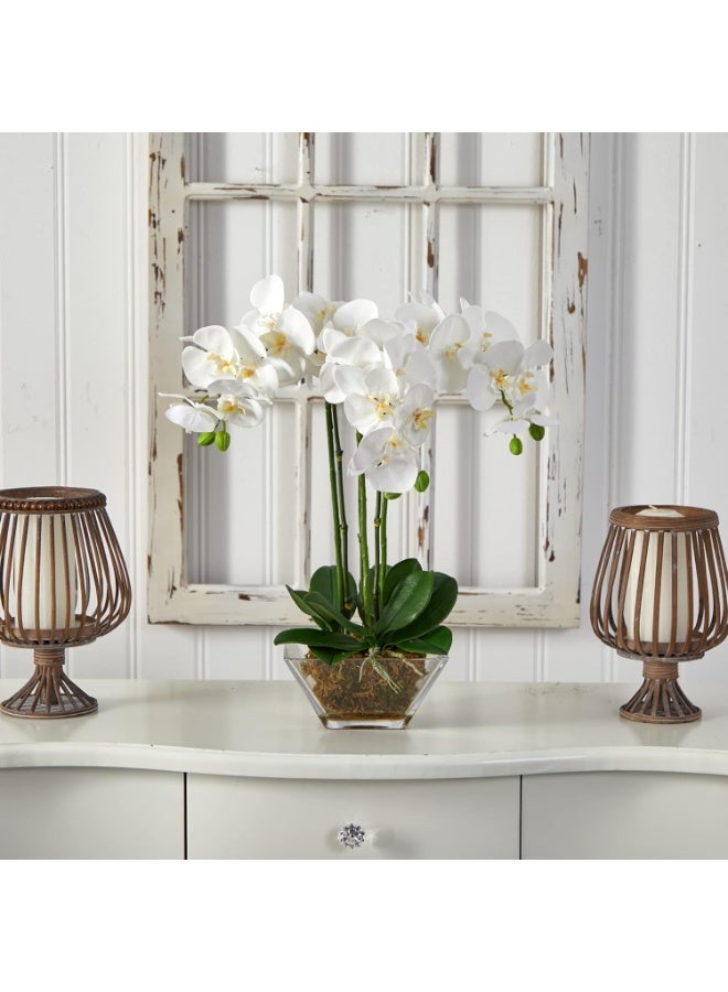 Triple Phalaenopsis Orchid Arrangement, Green/White, in Glass Vase with Moss - Image 2