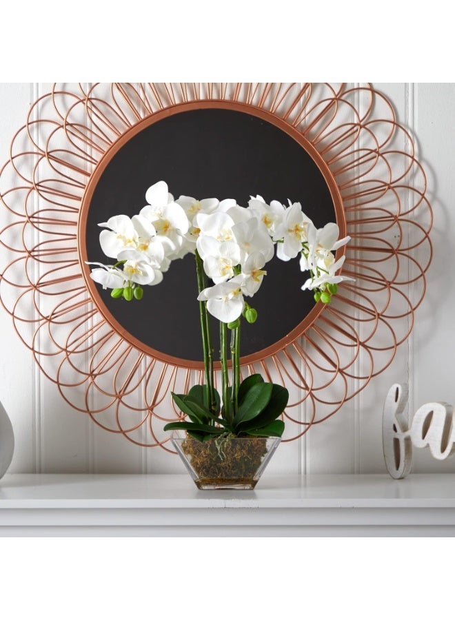 Triple Phalaenopsis Orchid Arrangement, Green/White, in Glass Vase with Moss - Image 4