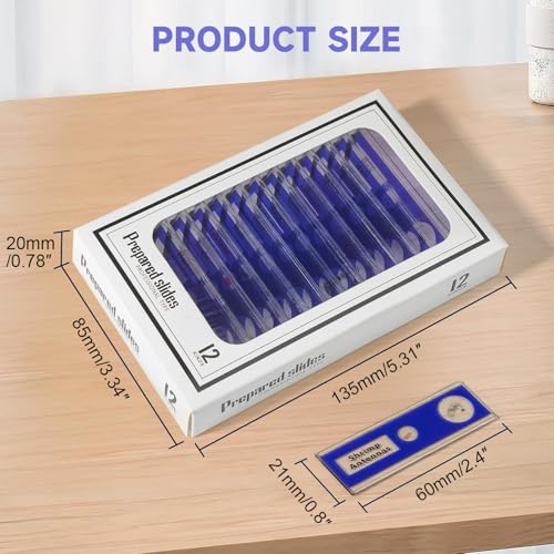 Jiusion 48Pcs Prepared Microscope Slides Specimen Animals Insects Plants Flowers Sample Biological Specimen, Stereo Microscope Slide for Kids Children Students Enlighten Education - Image 5