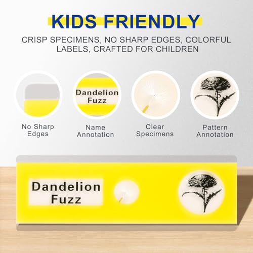 Jiusion 48Pcs Prepared Microscope Slides Specimen Animals Insects Plants Flowers Sample Biological Specimen, Stereo Microscope Slide for Kids Children Students Enlighten Education - Image 4
