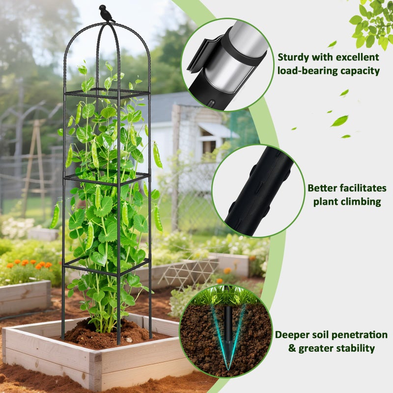 CL FUN Square Tomato Cages for Garden, 6.2 FT Cucumber Trellis for Flowers, Grape, Pea, Rose, Bean, Rustproof Plastic Coated Metal Plant Support for Potted Plants Indoor Outdoor- 1PC Obelisk Trellis - Image 2