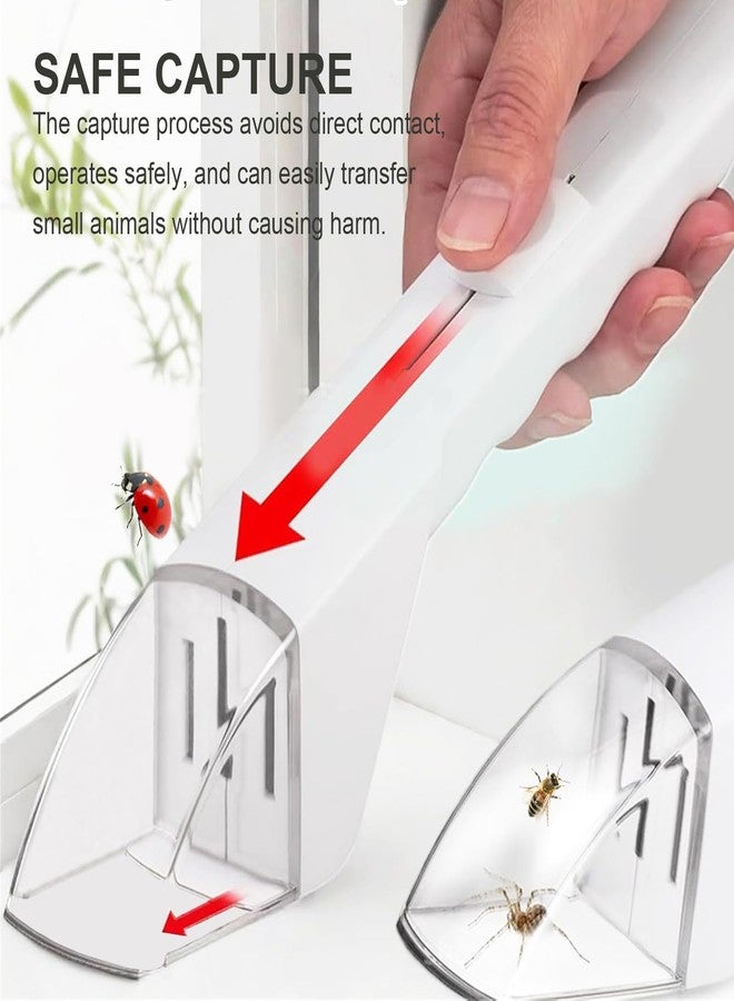MILEDU 2Pcs Small Animals Catcher Quick Release Humane Catching Tool Clear Contactless Observer Kids Adults Nature Exploration Container to Capture Butterflies, Bees, Spiders, etc (Black+White) - Image 5