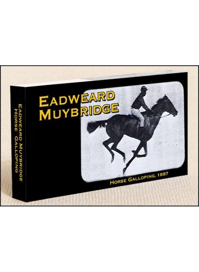 فليبتومانيا كتاب مصور عن المشي مع الفيلة من إنتاج مويبريدج - Image 5