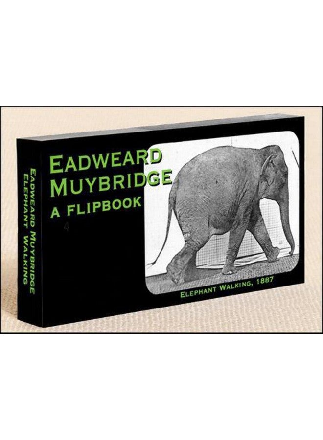 فليبتومانيا كتاب مصور عن المشي مع الفيلة من إنتاج مويبريدج - Image 1