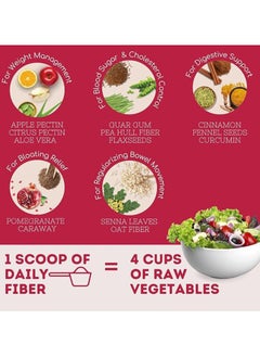WELLBEING NUTRITION Wellbeing Nutrition Daily Fiber Powder | Weight Management, Sugar Control Management, Bloating, Constipation and Acidity Relief | Organic Prebiotic Digestive Fiber Supplement | Vanilla Berry | 60  - Image 4