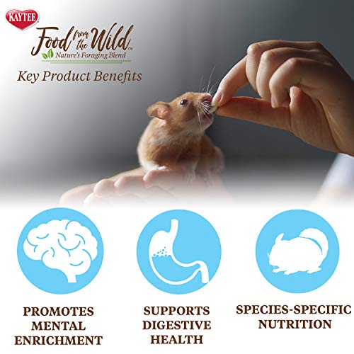 Kaytee Food from The Wild Natural Pet Hamster Food, 2 Pound - Image 4