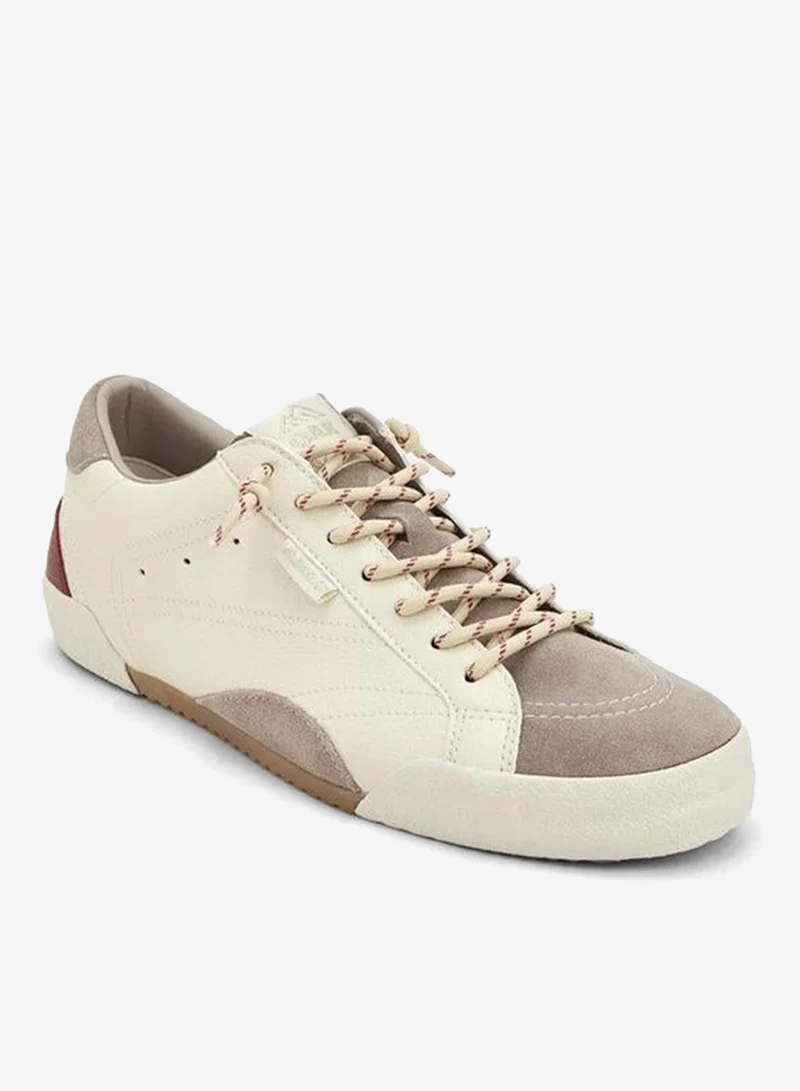 شو اكسبرس Women Panelled Lace-Up Ankle Sneakers