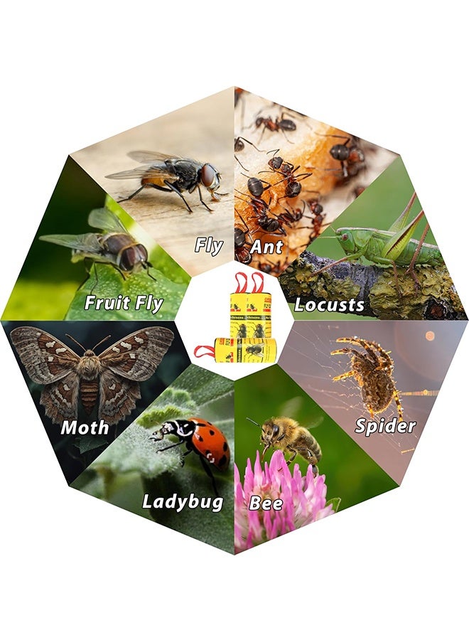 GREEN KILLER Fly Catcher, Pack of 28 Fly Catcher Rolls, Premium Non-Toxic Fly Killer Against Fruit Flies, Flies, Moths and Moths (28, Green) - Image 4