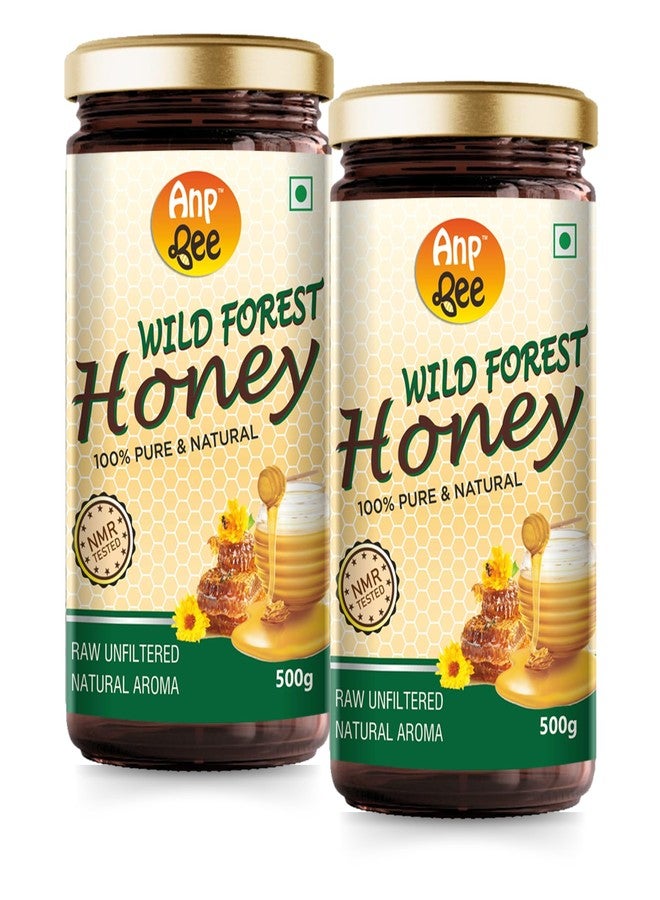 ANP BEE TM ANP BEE® Raw Unpasteurized Wild Forest Honey with Natural Aroma 500 Gram (Pack of 2) | 100% Pure, NMR Tested Natural Original Honey | Unprocessed, and Unfiltered Raw Wild Forest Honey - Image 1
