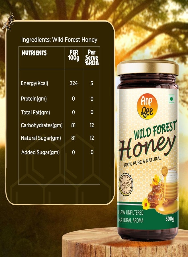 ANP BEE TM ANP BEE® Raw Unpasteurized Wild Forest Honey with Natural Aroma 500 Gram (Pack of 2) | 100% Pure, NMR Tested Natural Original Honey | Unprocessed, and Unfiltered Raw Wild Forest Honey - Image 3