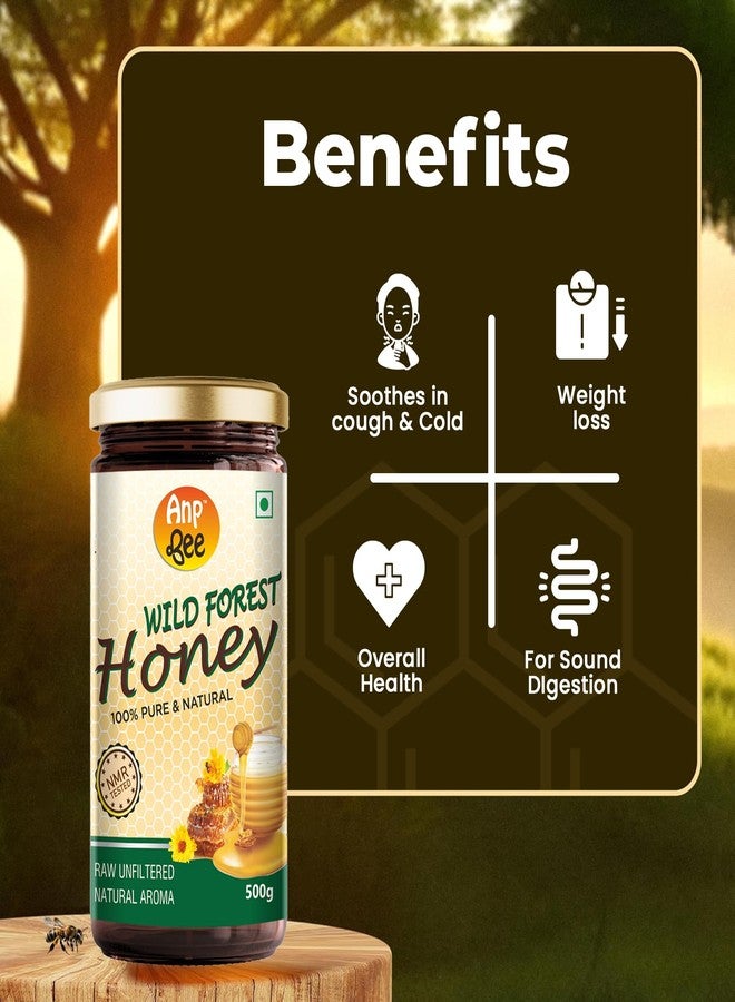 ANP BEE TM ANP BEE® Raw Unpasteurized Wild Forest Honey with Natural Aroma 500 Gram (Pack of 2) | 100% Pure, NMR Tested Natural Original Honey | Unprocessed, and Unfiltered Raw Wild Forest Honey - Image 2