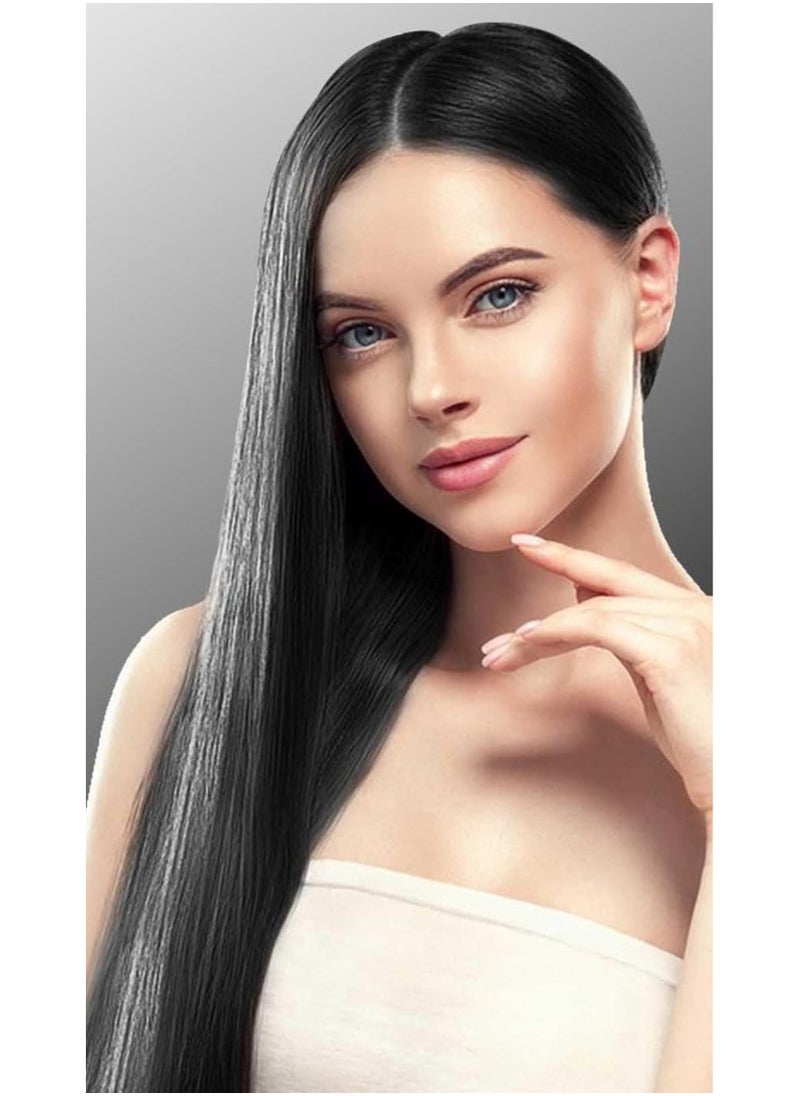 AMYTIS GARDEN - Argan Speedy Hair Color Shampoo,Natural  Black, 420ml - Image 1