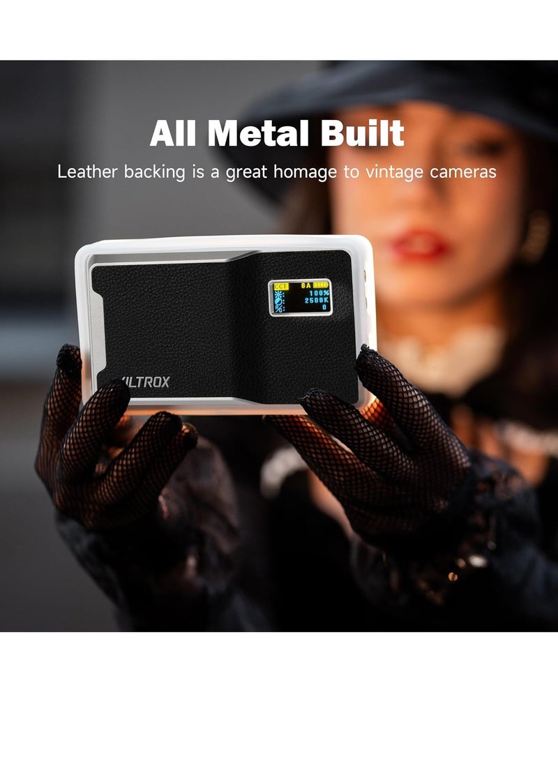 KASTWAVE 6000mAh RGB Video Light, Photography Video Lighting, Bluetooth Control On Camera Video Light, All Metal RGB Portable LED Photography Lighting, Led Camera Light Panel for Video Recording (Retro 08X) - Image 3