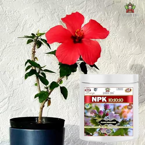 Sansar Agro Npk 10:10:10 Granule Fertilizer For Plants. (900 Gm) - Image 2
