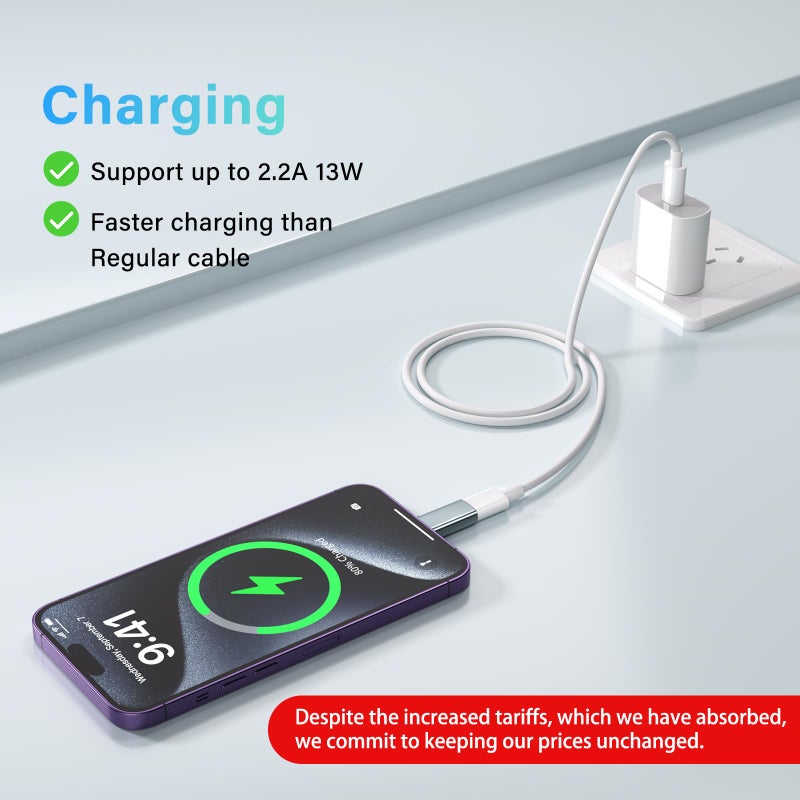 Thousover USB C Type C to Lightning Adapter ï¼ˆ4 Packï¼‰ 1.8-2.2A 15W Fast Charging Support Data Sync,Lightning to USB Type C Cable Adapter for iPhone/iPad/for Airpods,with Anti-Lost Loop,Not for Audio/OTG, Gray - Image 2