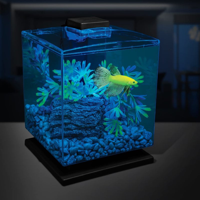 GloFish Aquarium Gravel 5 Pounds, Pearlescent, Complements Tanks and DÃ©cor (AQ-78484) - Image 4