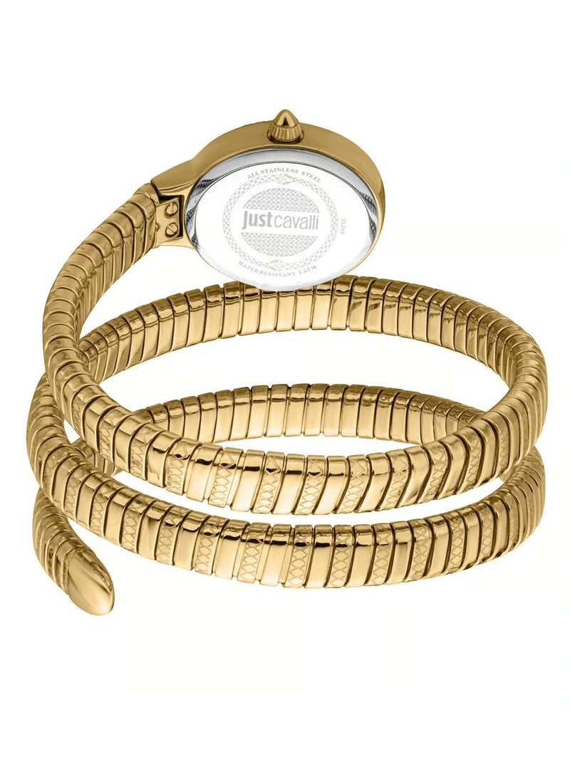 جي سي ساعة يد جست كافالي JC1L269M0025 After Party Analog للنساء - Image 2