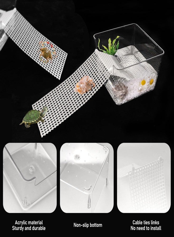 ATROPOS 2 Pack Hermit Crab Water Tank with Cuttable Climbing Ramp - Ideal Hermit Crab Pool & Play Tank for Small Animals - Perfect for Crawling Climbing and Fun - Image 3