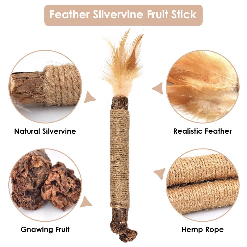 Bissap 10 PCS Silvervine Chew Sticks for Cats, Catnip Chew Sticks Cat Toys for Indoor Cat Kitten Teeth Grinding Interactive Feather Toys for Aggressive Chewers Dental Care - Image 4