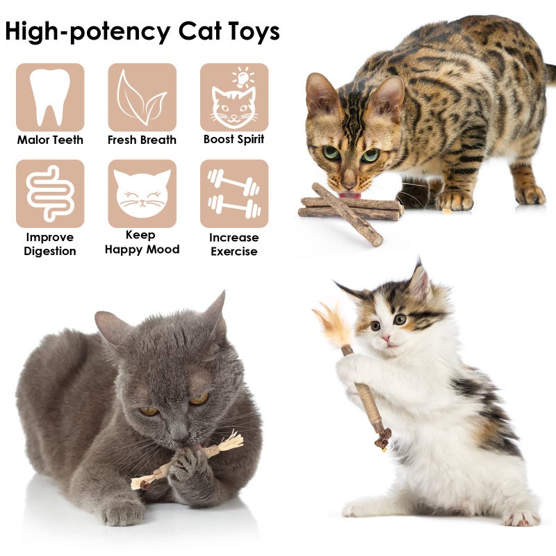 Bissap 10 PCS Silvervine Chew Sticks for Cats, Catnip Chew Sticks Cat Toys for Indoor Cat Kitten Teeth Grinding Interactive Feather Toys for Aggressive Chewers Dental Care - Image 2