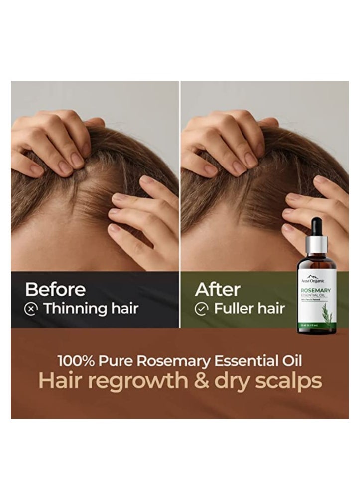 Aravi Organic - Aravi Organic Rosemary Essential Oil 15ml With Neem Wood Comb  Pack of 2 - Image 1