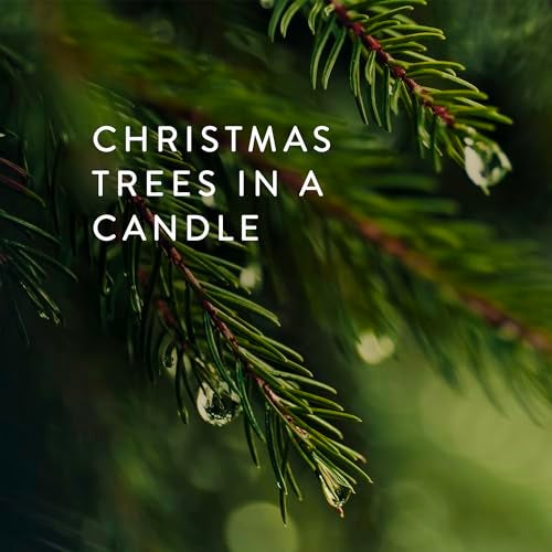 Thymes Frasier Fir Candles Statement Collection Silver with Pine Needle Design Scented Candles for Home Decor Notes of Siberian Fir Needles Cedarwood Sandalwood Petite 5 oz - Image 3