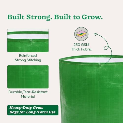 UGAOO 12x12 Inch Grow Bags (Set of 6) – 250 GSM | Heavy Duty HDPE Plant Grow Bags for Terrace Garden, Balcony, Vegetables & Plants | UV Resistant, Reusable Green Gardening Bags - Image 2