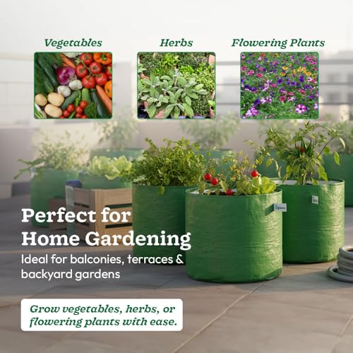 UGAOO 12x12 Inch Grow Bags (Set of 6) – 250 GSM | Heavy Duty HDPE Plant Grow Bags for Terrace Garden, Balcony, Vegetables & Plants | UV Resistant, Reusable Green Gardening Bags - Image 4