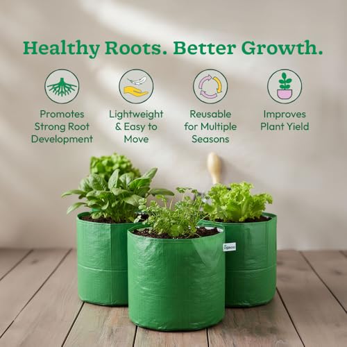 UGAOO 12x12 Inch Grow Bags (Set of 6) – 250 GSM | Heavy Duty HDPE Plant Grow Bags for Terrace Garden, Balcony, Vegetables & Plants | UV Resistant, Reusable Green Gardening Bags - Image 5