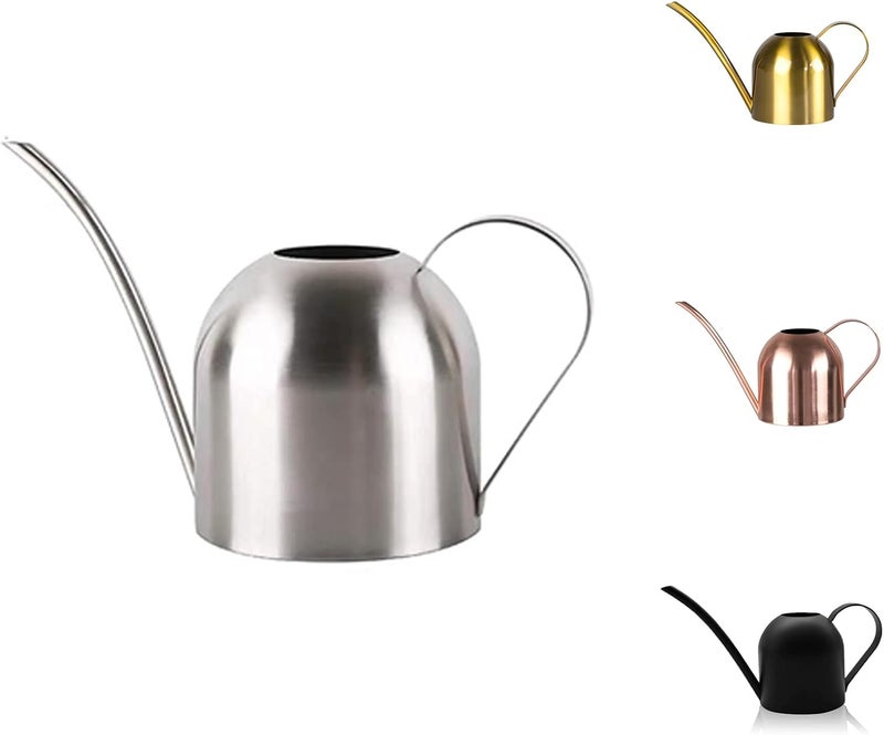 YISSN Small Watering Can for Indoor Plants, 15oz/450ml Stainless Steel Long Spout Watering Can for Succulents, Herbs (Silver) - Image 1