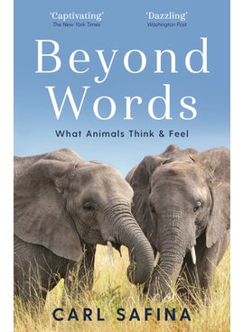 Beyond Words