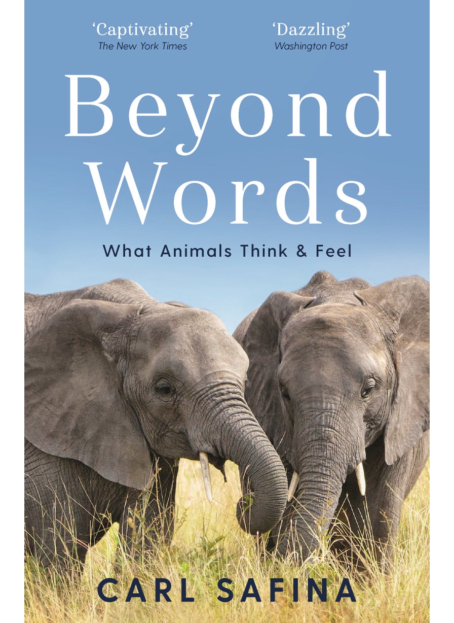 null - Beyond Words - Image 1
