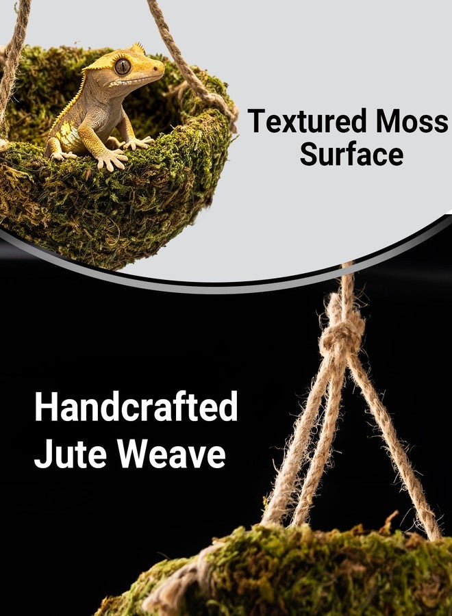 ORBIDYN Handmade Crested Gecko Tank Decor – Hanging Shelter for Bearded Dragon Accessories, Reptile Hammock, Hermit Crab, Snake and Other Small Reptiles - Image 3