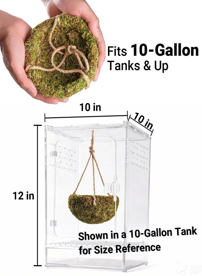 ORBIDYN Handmade Crested Gecko Tank Decor – Hanging Shelter for Bearded Dragon Accessories, Reptile Hammock, Hermit Crab, Snake and Other Small Reptiles - Image 4