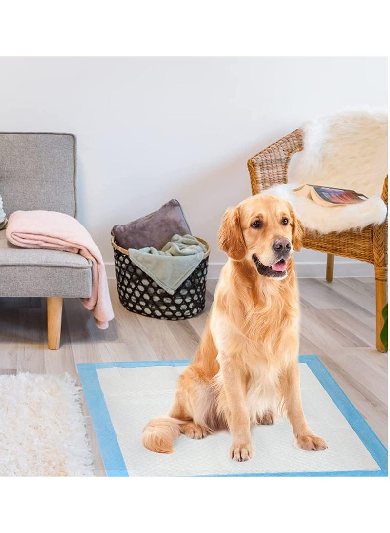 MahMir Disposable Absorbent Quick Drying Leak-Proof Pee Pads, Disposable Training Pads For Pets with 5 Highly Absorbent Layers, Puppy Pads For Potty Training For Pets 60X60cm, Pack of 40 Pieces - Image 2