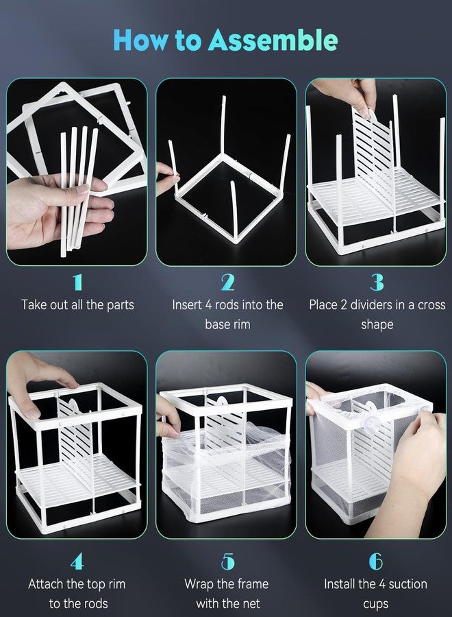 باوفلي شبكة تربية أسماك الزينة من باوفلاي مع شبكة نايلون وأكواب شفط - صندوق عزل صغير لصغار الأسماك والروبيان - Image 5