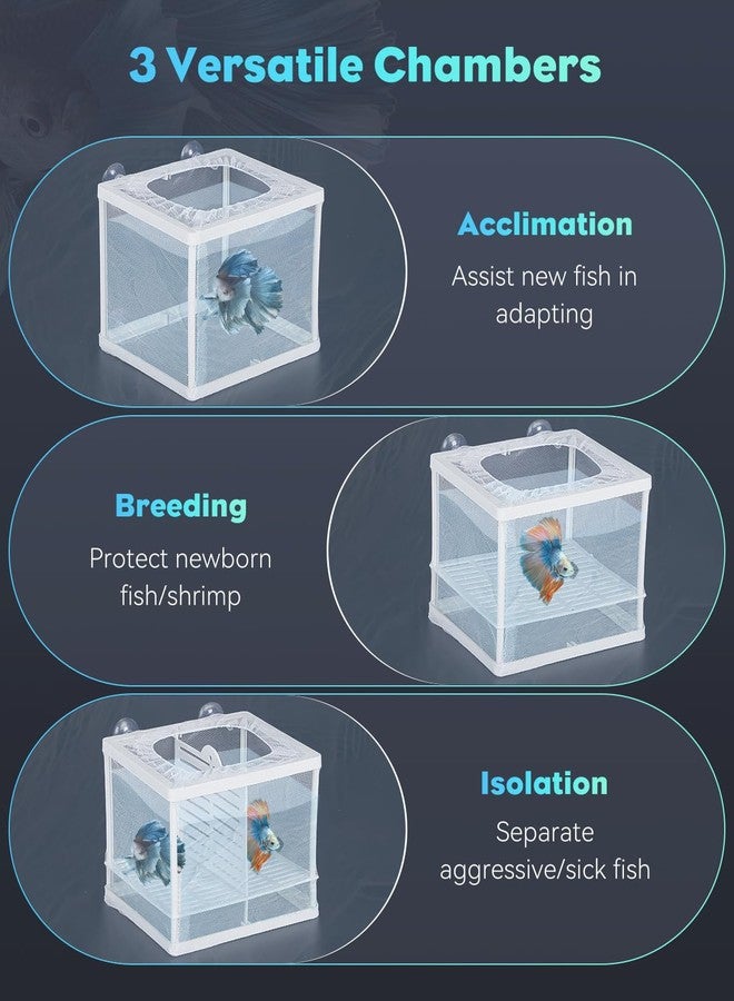 باوفلي شبكة تربية أسماك الزينة من باوفلاي مع شبكة نايلون وأكواب شفط - صندوق عزل صغير لصغار الأسماك والروبيان - Image 4