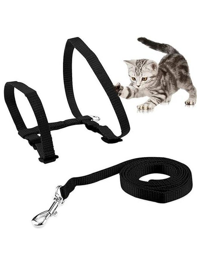 حزام نايلون مطبوع مع مقود وخطاف قابل للتعديل ومجموعة حزام الجسم للقطط والقطط الصغيرة للمشي في الهواء الطلق والتدريب (قد يختلف اللون، عبوة من قطعة واحدة) - Image 2