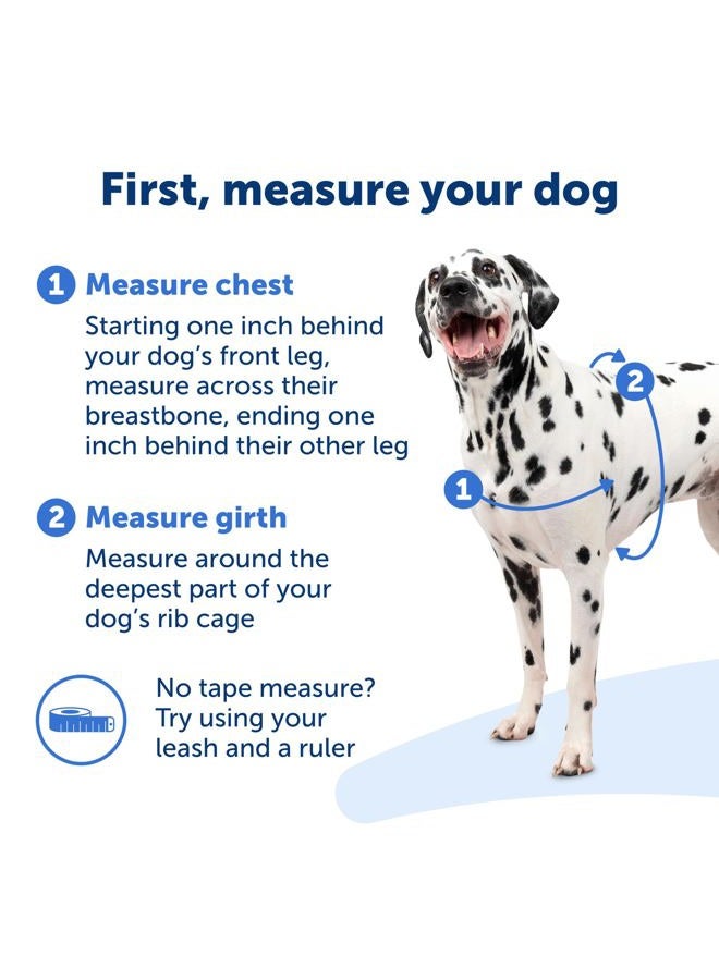 PetSafe Easy Walk No-Pull Dog Harness - The Ultimate Harness to Help Stop Pulling - Take Control & Teach Better Leash Manners - Helps Prevent Pets Pulling on Walks, Large, Fawn/Brown - Image 5