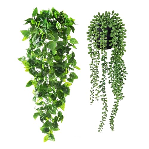 Ekhasa Nostrae Hanging Artificial Plants with Pot (Set of 2) | Money Plant Artificial Hanging Plants for Decor | Falling Creepers Climbers Fake Vines with Pots (String of Pearls, Golden Pothos) - Image 1